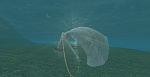     . 

:	Shot00032.jpg 
:	12 
:	120.1  
ID:	124