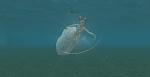     . 

:	Shot00027.jpg 
:	11 
:	102.1  
ID:	126